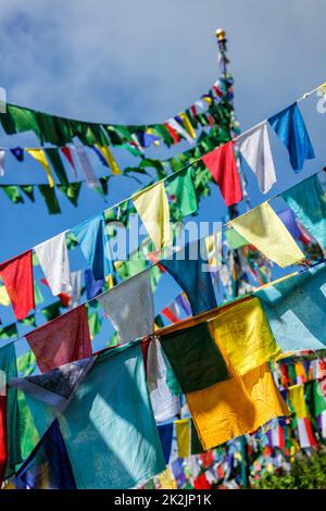 Bandiere buddiste di preghiera lunga a McLeod Ganj, Himachal Pradesh, India Foto Stock