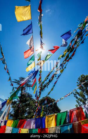 Bandiere buddiste di preghiera lunga a McLeod Ganj, Himachal Pradesh, India Foto Stock