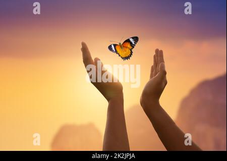 La ragazza libera la farfalla dal concetto di momento di libertà Foto Stock