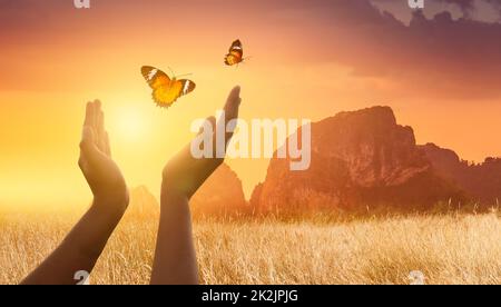 La ragazza libera la farfalla dal concetto di momento di libertà Foto Stock