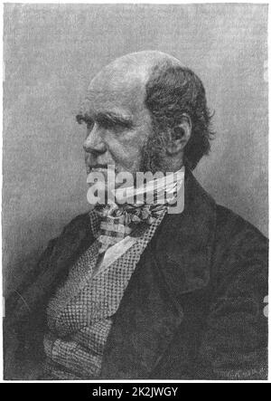 Charles Darwin (1809-1882) naturalista inglese. Evoluzione per selezione naturale. Incisione da 'Harper's New Monthly Magazine', edizione europea, 1884. Foto Stock