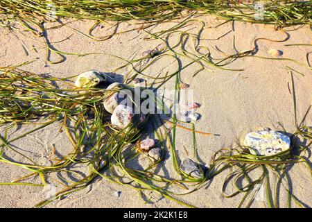 Il paesaggio da sogno di Klein Zicker sull'isola del Mar Baltico di RÃ¼gen Foto Stock