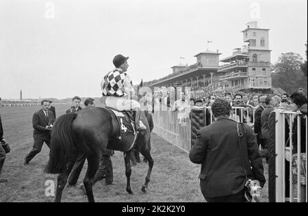 Il Gran Premio di Parigi all'Ippodromo di Longchamps. Juin 1960 Foto Stock