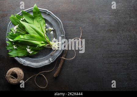 Aglio selvatico ramson Foto Stock