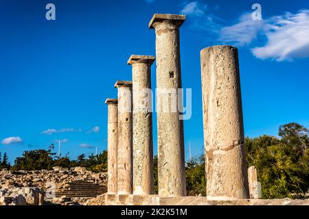 Antiche colonne del Santuario di Apollo Hylate. Distretto di Limassol. Cipro Foto Stock