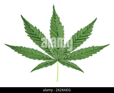 Foglia di pianta di cannabis isolata su sfondo bianco. Illustrazione 3D Foto Stock