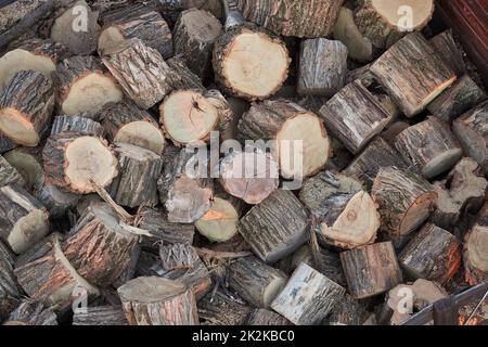 Palo di legno Closeup Foto Stock
