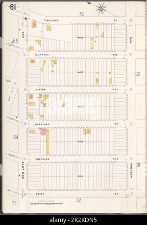 Cartografica, Mappe. 1884 - 1936. Lionel Pincus e la Principessa Firyal Map Division. Assicurazione antincendio , New York (stato), Real Property , New York (stato), Cities & Cities , New York (stato) Brooklyn V. 8, Plate No. 81 Mappa delimitata da Milford St., Hegeman Ave., Essex St., New Lots Ave. Foto Stock
