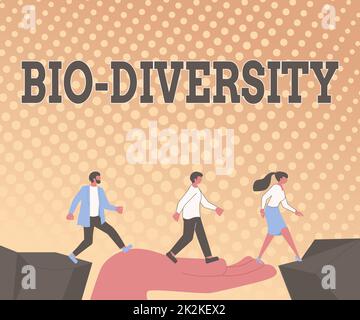 Segno di testo che mostra Bio Diversity. Concetto che significa varietà di organismi di vita Fauna marina ecosistema Habitat colleghi di attraversamento ostacoli Hand Bridge Presentazione collaborazione lavoro di squadra. Foto Stock