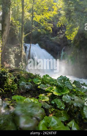 Cascate di Marmore, Cascata delle Marmore, in Umbria, Italia Foto Stock