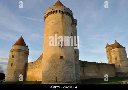 Castello di Blandy les Tours in Senna e Marna Foto Stock