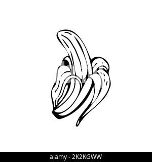 Banana sottili linee nere su sfondo bianco - Vector Foto Stock