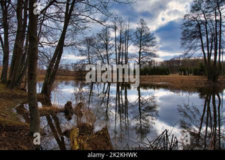 Lago tranquillo con riflessi di alberi circostanti Foto Stock