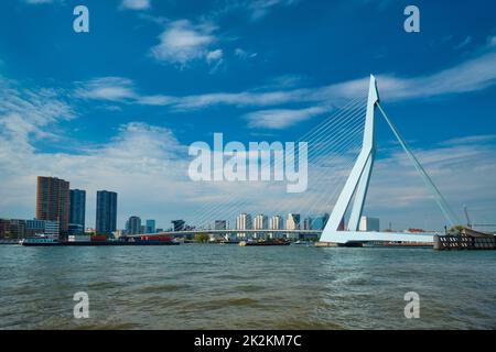 Vista di Rotterdam su Nieuwe Maas con il ponte Erasmusbrug. Rottherdam, Paesi Bassi Foto Stock