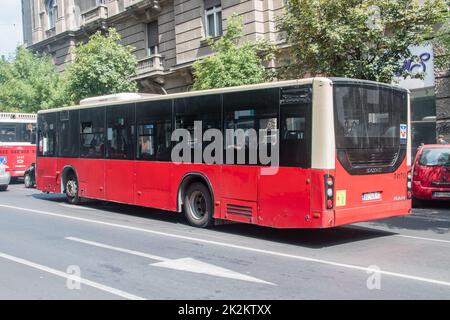 Belgrado, Serbia - 7 giugno 2022: Autobus cittadino rosso sulla strada di Belgrado. Foto Stock