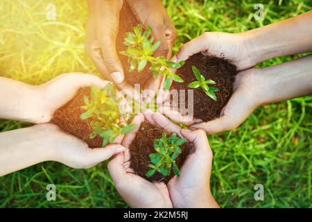Insieme possiamo crescere un più verde domani. Scatto ritagliato di un gruppo di persone ognuno tenendo una pianta che cresce nel suolo. Foto Stock