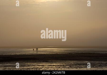 La mattina presto vista del fiume Couesnon bagnata dalla luce del sole d'oro a le Mont Saint-Michel, Normandia, Francia. Foto Stock