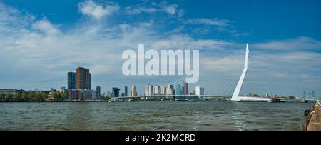 Vista di Rotterdam su Nieuwe Maas con il ponte Erasmusbrug. Rottherdam, Paesi Bassi Foto Stock