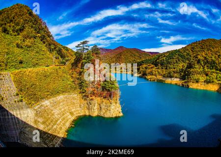 Okaw quattromila foglie autunnali Foto Stock