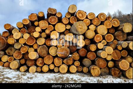 tronchi di alberi impilati nei boschi alpini Foto Stock