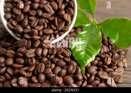 Caffè in chicchi medio arrostito con foglie al mattino fresco. Foto Stock