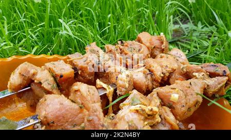 Carne di maiale cruda fresca infilata su uno spiedino per la cottura su carbone, su una griglia barbecue. Picnic estivo in famiglia, preparazione di carne, all'aperto, sul prato Foto Stock