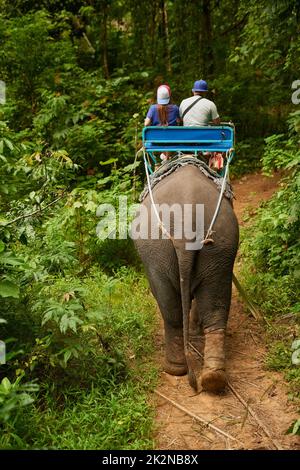 Vedere la giungla in un modo nuovo. Foto retrostanti di un elefante con un gruppo di turisti che cavalcano sulla schiena. Foto Stock