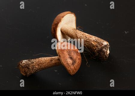 Due appena raccolto di funghi (scaber deviosgancio / Leccinum scabrum) via lo sporco dalla foresta ancora su di essi, sul grigio scuro, quasi nero bordo. Foto Stock