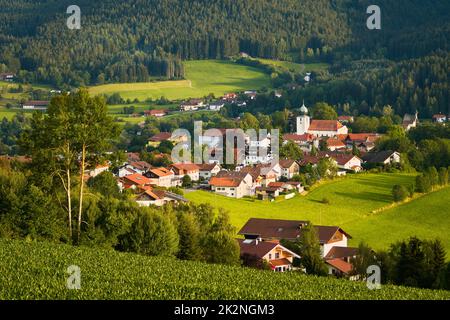 Lam, una piccola cittadina nella foresta bavarese nel Palatinato superiore, Baviera, Germania. Foto Stock