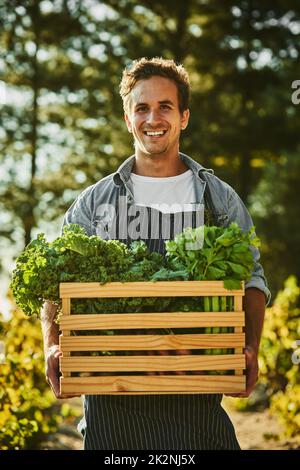 Tutto quello che coltivo è biologico. Shot di un giovane che tiene una cassa piena di prodotti freschi raccolti in una fattoria. Foto Stock