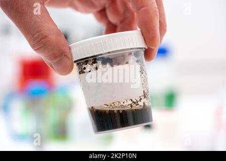 l'ecologo scientifico contiene un contenitore con un campione di terreno per analisi chimiche e microbiologiche Foto Stock