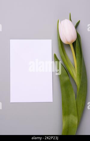 Mockup minimalistico per le congratulazioni o gli inviti Foto Stock