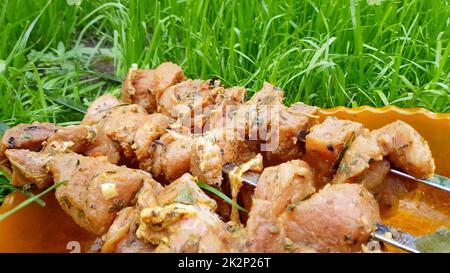 Carne di maiale cruda fresca infilata su uno spiedino per la cottura su carbone, su una griglia barbecue. Picnic estivo in famiglia, preparazione di carne, all'aperto, sul prato Foto Stock