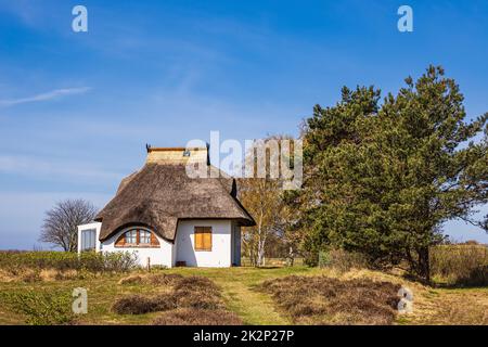 Cottage tra Vitte e Neuendorf sull'isola di Hiddensee, Germania Foto Stock