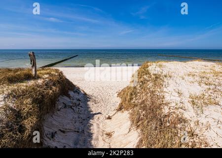 Spiaggia e dune sull'isola di Hiddensee, Germania Foto Stock