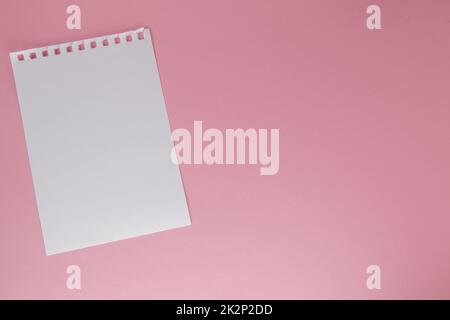 Un foglio bianco di carta strappato da un notebook, su sfondo rosa con una copia dello spazio Foto Stock