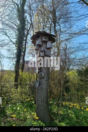 Diversi birdhouses e insetto alberghi su un albero in un parco nel nord della Germania. Foto Stock