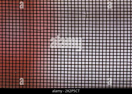 Primo piano della zanzariera Foto Stock