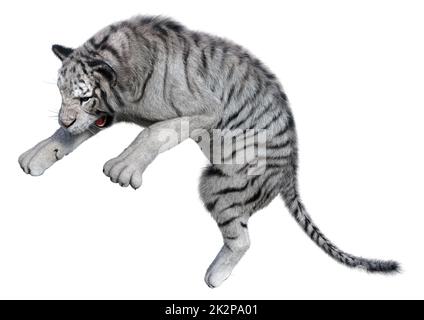 3D Rendering Tigre Bianca su bianco Foto Stock