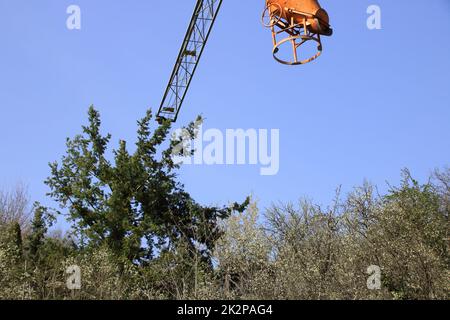 Il braccio di una gru da cantiere scatta sulla parte superiore di un albero Foto Stock