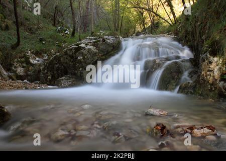 Cascata sul ruscello in ombra sotto gli alberi antichi Foto Stock