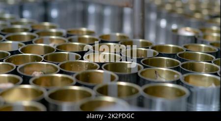 Fabbrica di pesce in scatola. Industria alimentare. Molte lattine di sardine su un nastro trasportatore. Sardine in salsa di pomodoro rosso in lattine in fabbrica alimentare. Linea di produzione alimentare. Industria alimentare. Foto Stock