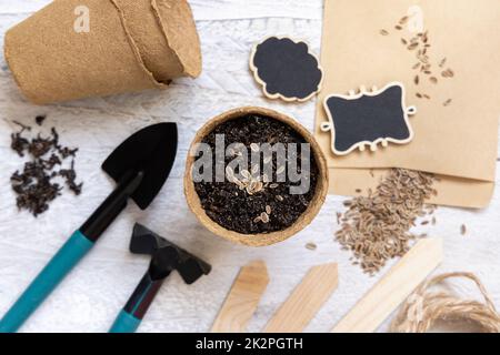 Semi di aneto, pentole biodegradabili e utensili da giardino vista dall'alto. Giardinaggio indoor e germinazione di semi di erbe Foto Stock