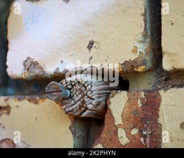 Nei giunti di una parete di mattoni si trova un tassello di legno insieme ad una vite a testa esagonale. Foto Stock