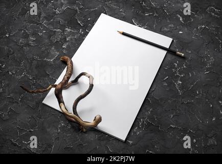 Carta intestata, matita e ramo asciutto su fondo in gesso nero. Modello di branding vuoto. Foto Stock
