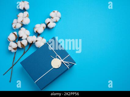 Scatola di cartone per regali e un ramoscello con fiori di cotone su sfondo blu, vista dall'alto Foto Stock