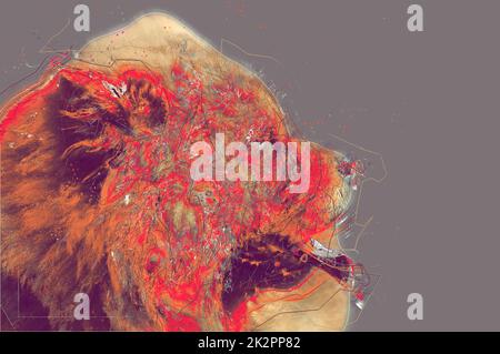 Chow Chow cane ritratto. Illustrazione astratta Foto Stock