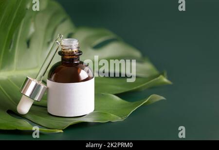 Flacone contagocce aperto sulla foglia di mostera in primo piano sul tavolo verde. Modello di imballaggio del marchio Foto Stock