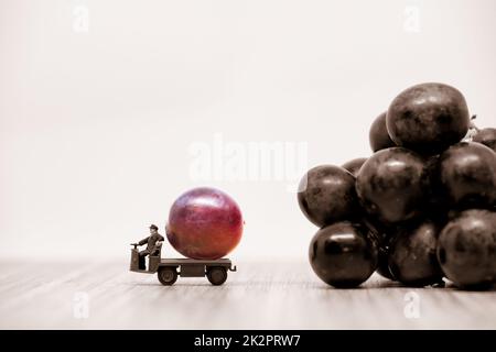 Coltivatore che porta uva rossa lamponi. Foto macro Foto Stock
