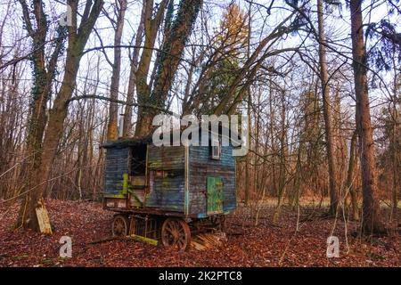 carro ferroviario abbandonato nella foresta Foto Stock